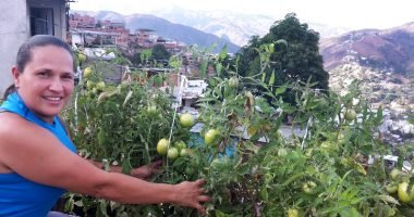 Menghadapi Kekurangan Pangan, Venezuela Mendorong Kebun Kota